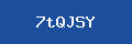 Verificação de Captcha